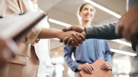 People shaking hands in agreement